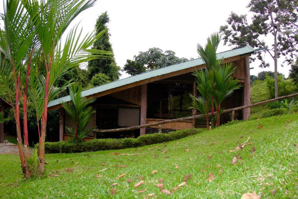 Lodge Epic Adventure San Miguel (Sarapiqui, Alajuela)