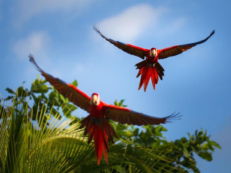 Epic Adventure Lodge San Miguel (Sarapiqui, Alajuela)